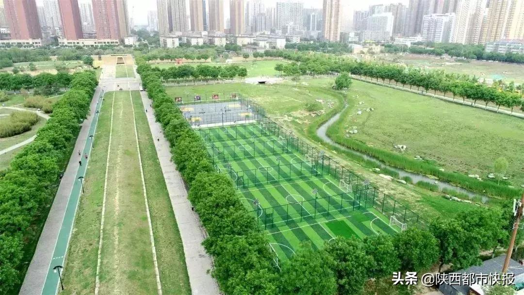 西安体育中心场馆,西安免费开放的体育馆