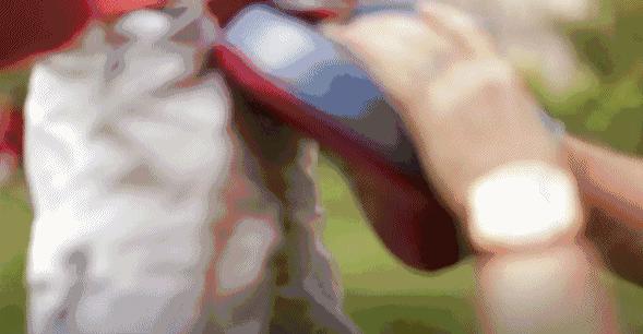 父亲节有话说,父亲节不能说什么