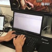 「今日逗图」强迫症患者的回车键