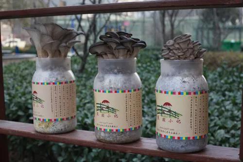 农村24个挣钱的事业，谁先做谁就是最先吃到螃蟹的人