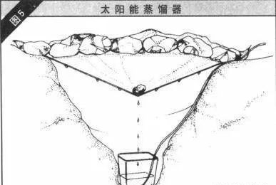 生存小技巧钻木取火,荒野生存取水技巧