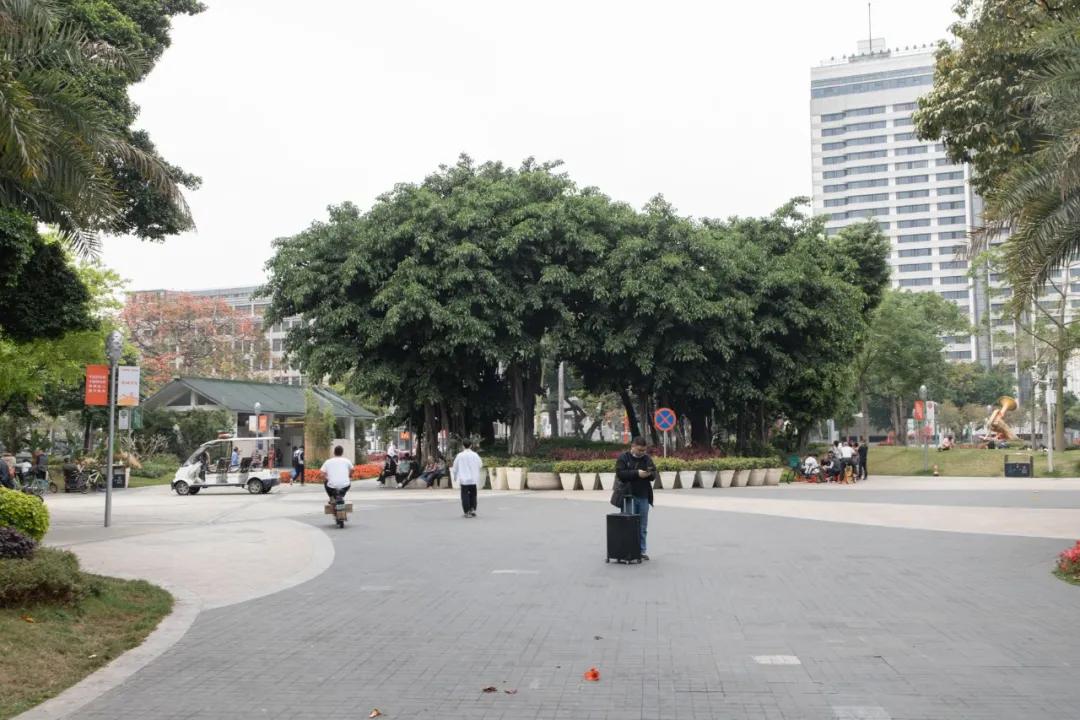 广州海珠广场美丽的景色,广州海珠广场历史故事