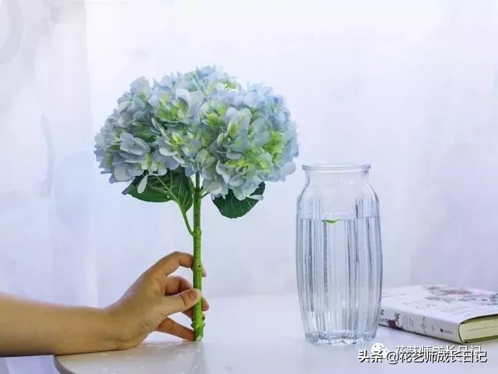 开花店花材损耗,花店新到花材如何打理