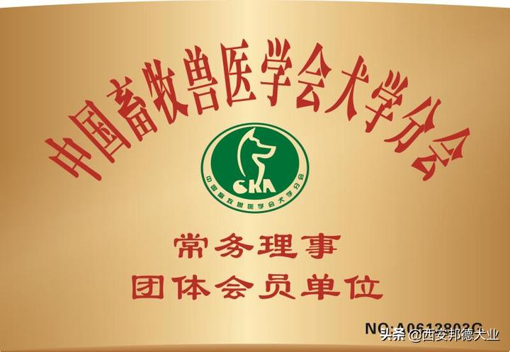 宠物训练学园,宠物训练营学校