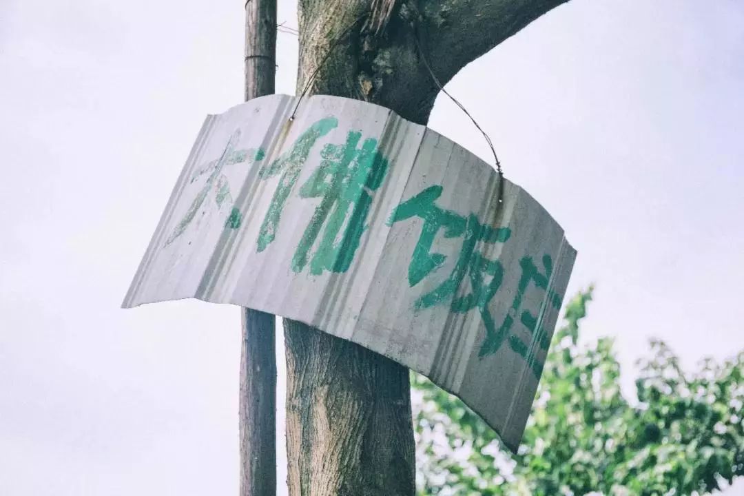 吃遍重庆100家苍蝇馆子,重庆解放碑附近苍蝇馆子前十名