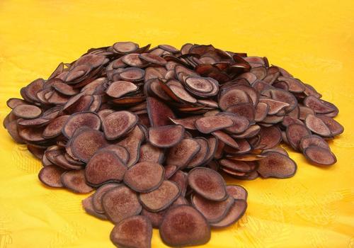 新鲜梅花鹿茸与马鹿茸的鉴别区别,鹿茸好坏怎么看鹿茸真假分辨方法