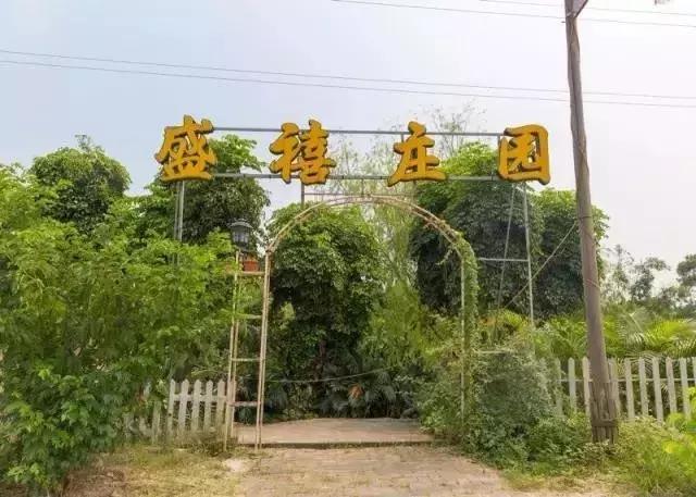 顺德适合10-15人集会的餐厅,顺德聚餐推荐餐厅10人以上