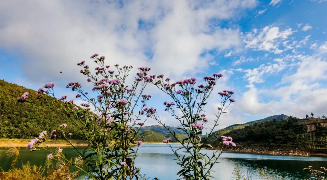 康养之城,康养之城图