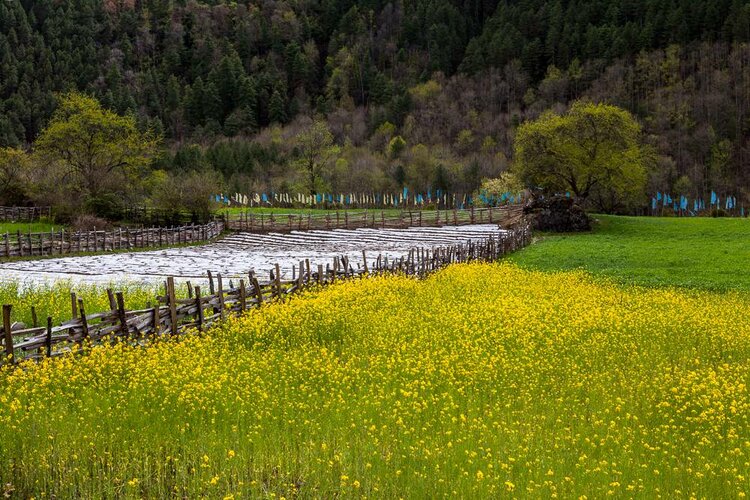 海子面朝大海春暖花开写作时间,海子面朝大海春暖花开原文图片
