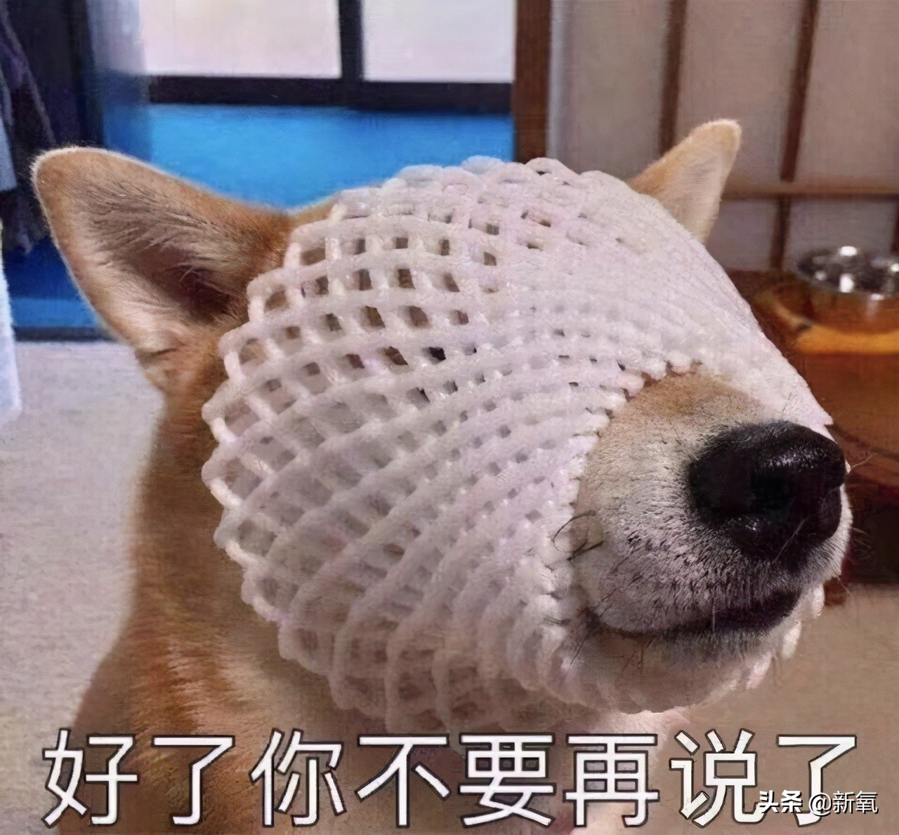 宋祖儿港风绝美照片,宋祖儿侧颜简直太美啦