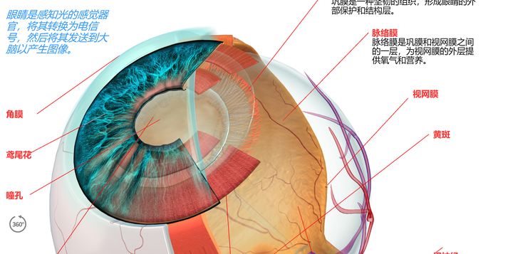 超实用的五大必备网站有哪些,10个良心实用网站推荐终身受用