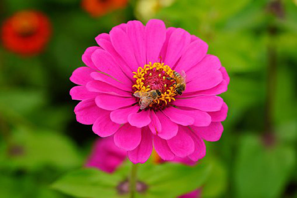 句句大实话人生感悟正能量分享,人生感悟语录句句正能量