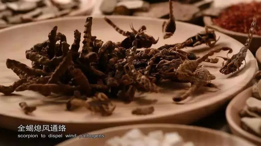 哪种蟑螂有药用价值,蟑螂药用价值是什么