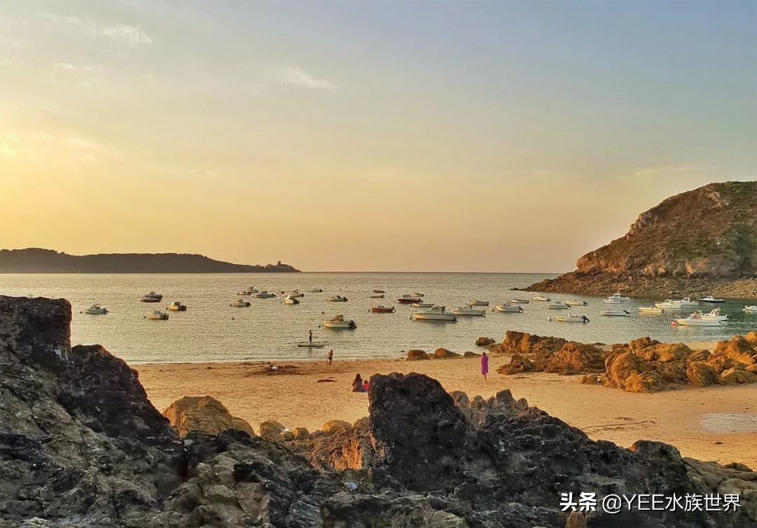 鱼鹰老人：可不可以，不要忘了我们