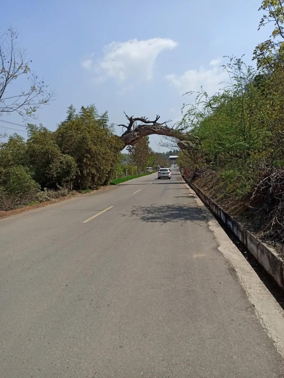 骑行洪庆山小记,洪庆山骑行小记
