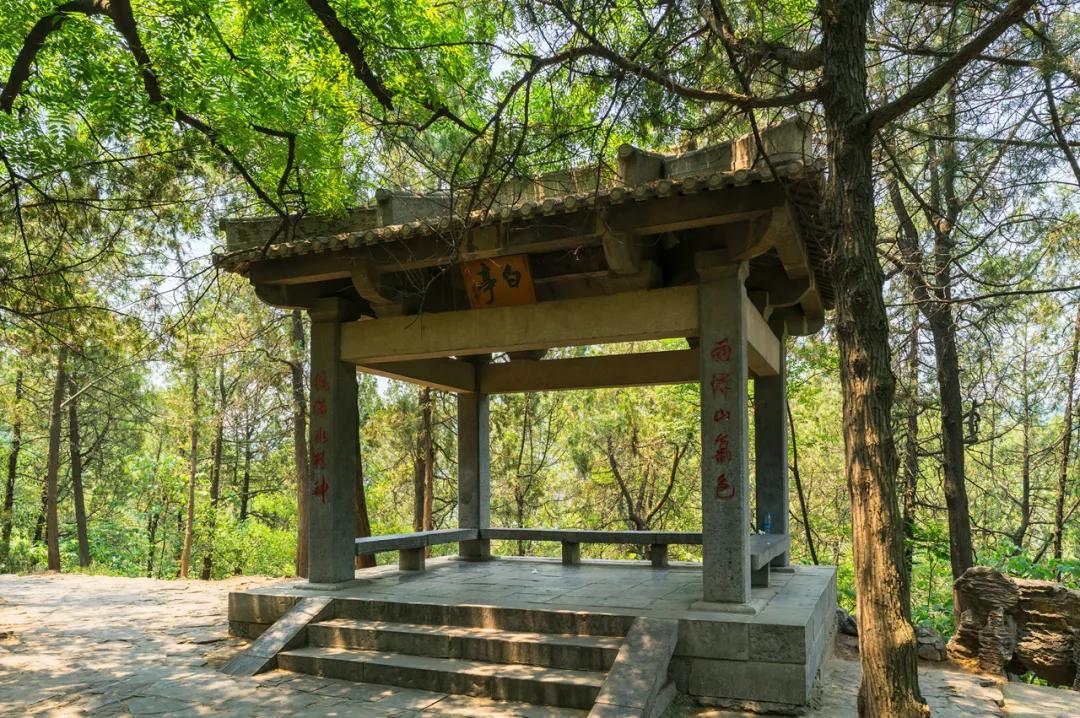 龙门石窟感受一下大唐盛世,为什么盛唐气象在龙门石窟