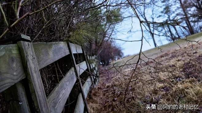 英超比赛今日赛程曼城,英超19-20赛季曼城vs曼联视频回放