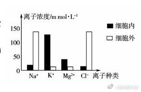 苏教版生物高中必修一课程,苏教版高中生物必修一的全套视频