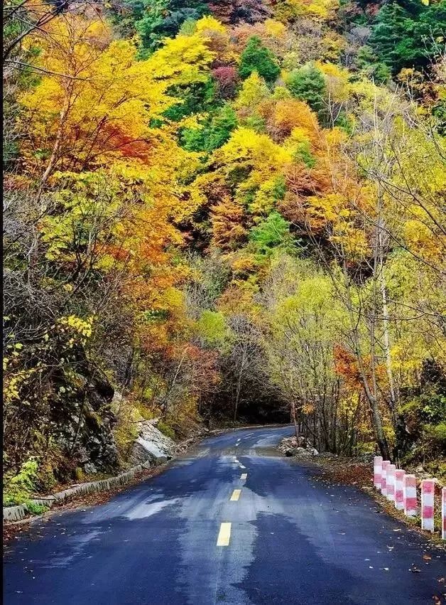 西安自驾秦岭秋色最好的地方,西安自驾一日游的绝佳去处秦岭