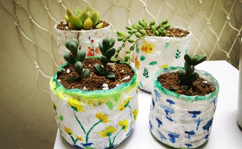 塑料瓶养花的正确方法,适合养花的塑料瓶