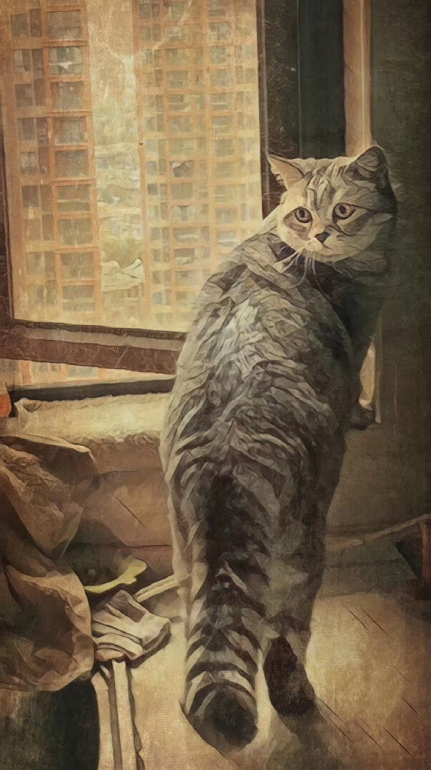 疫情樱花,樱花盛开疫情结束了