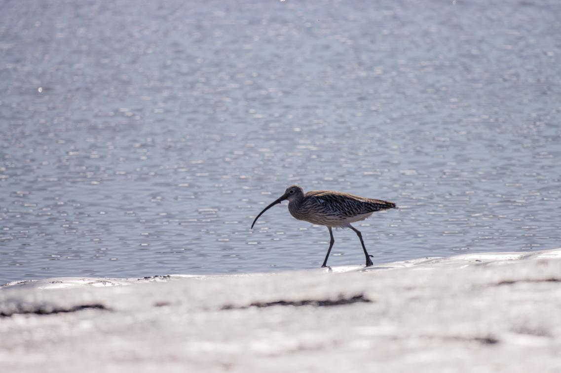 eos90d拍风景参数,eos90d使用教程