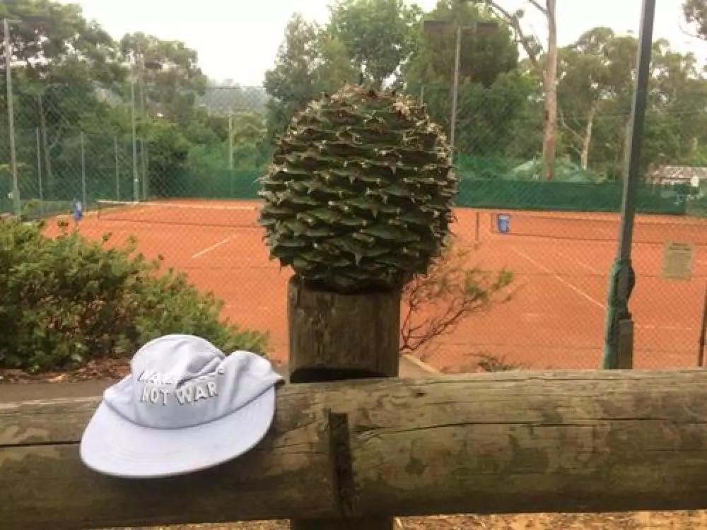 花生、瓜子、腰果、巴旦木……坚果那么多，谁最昂贵？谁最危险？