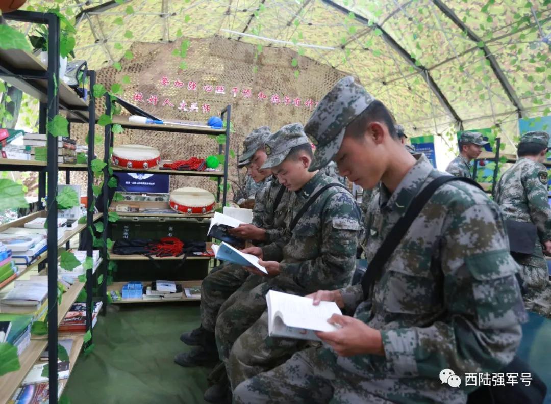 西南猎豹豹头,西南猎豹高原