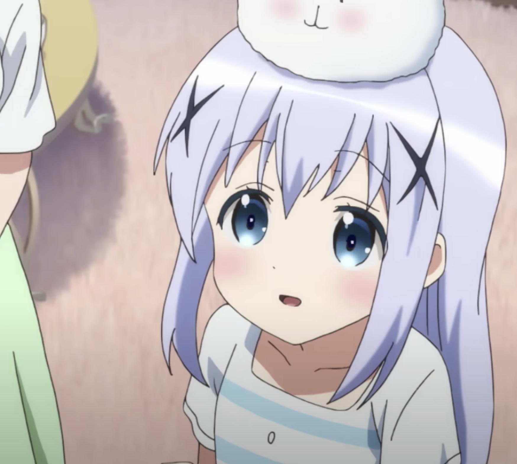 《请问您今天要来点兔子吗？》第三期10月播出，老法师准备好吗