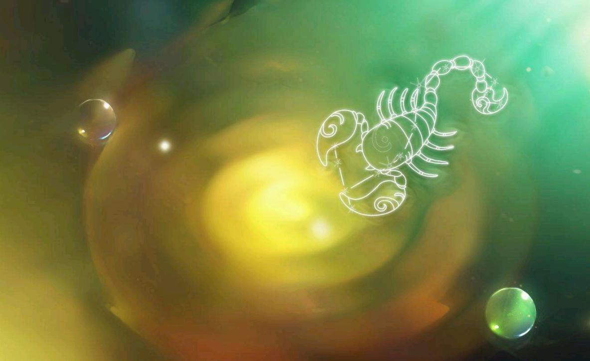 天蝎高冷难以接近就是不喜欢吗,天蝎的高冷和禁欲都是留给外人的