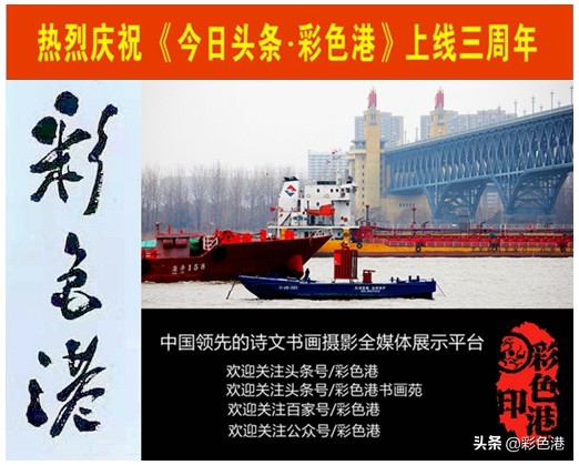 刚入手的米兰花如何养护,米兰花怎么养才会长大