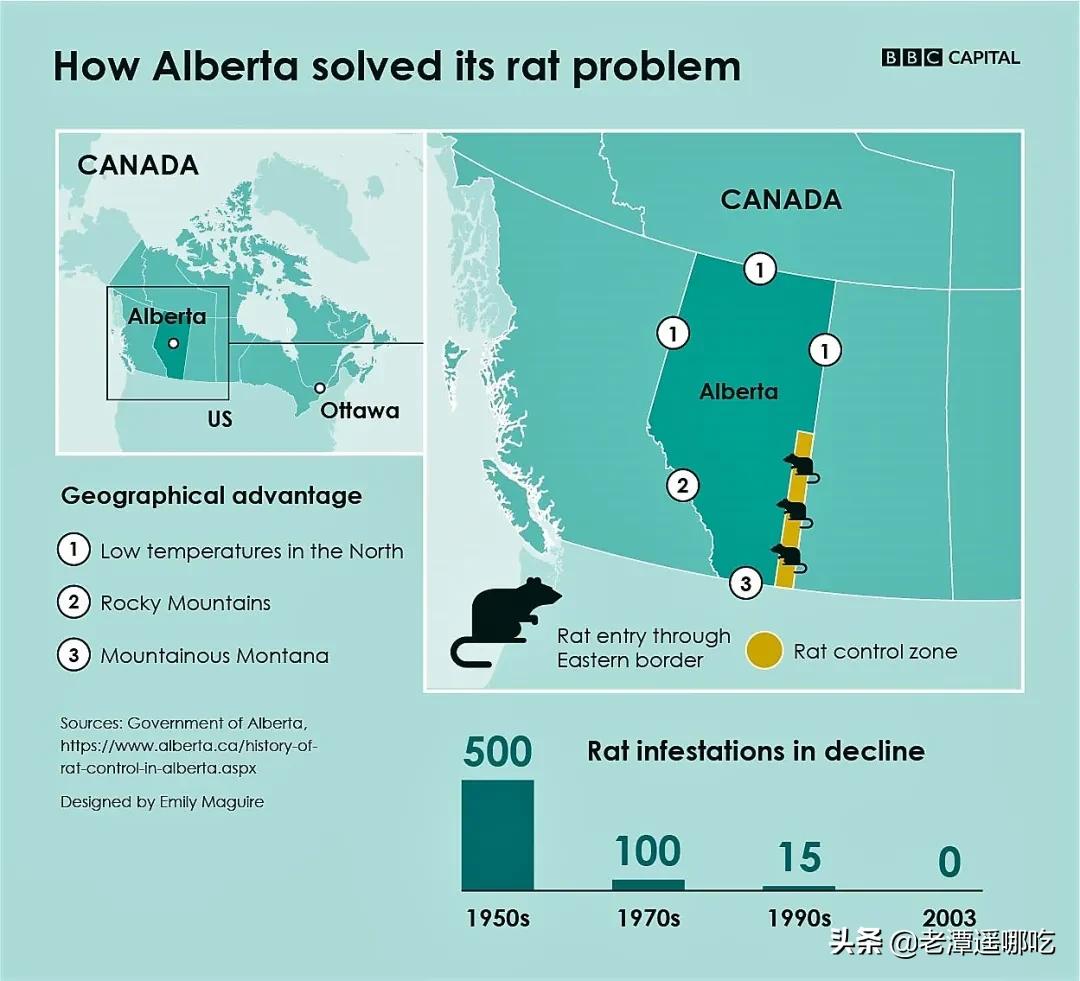 加拿大哪个城市老鼠最多,加拿大没有老鼠的地方