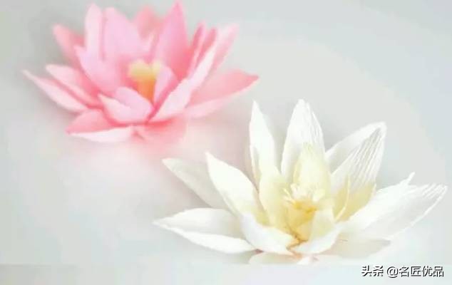 手工制作荷花睡莲,夏天的荷花手工小朋友