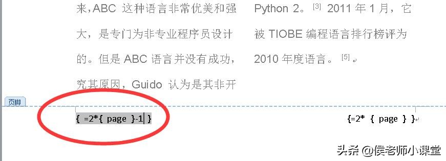 word分栏怎么设置单独页码,word分栏后怎么在每一栏加页码