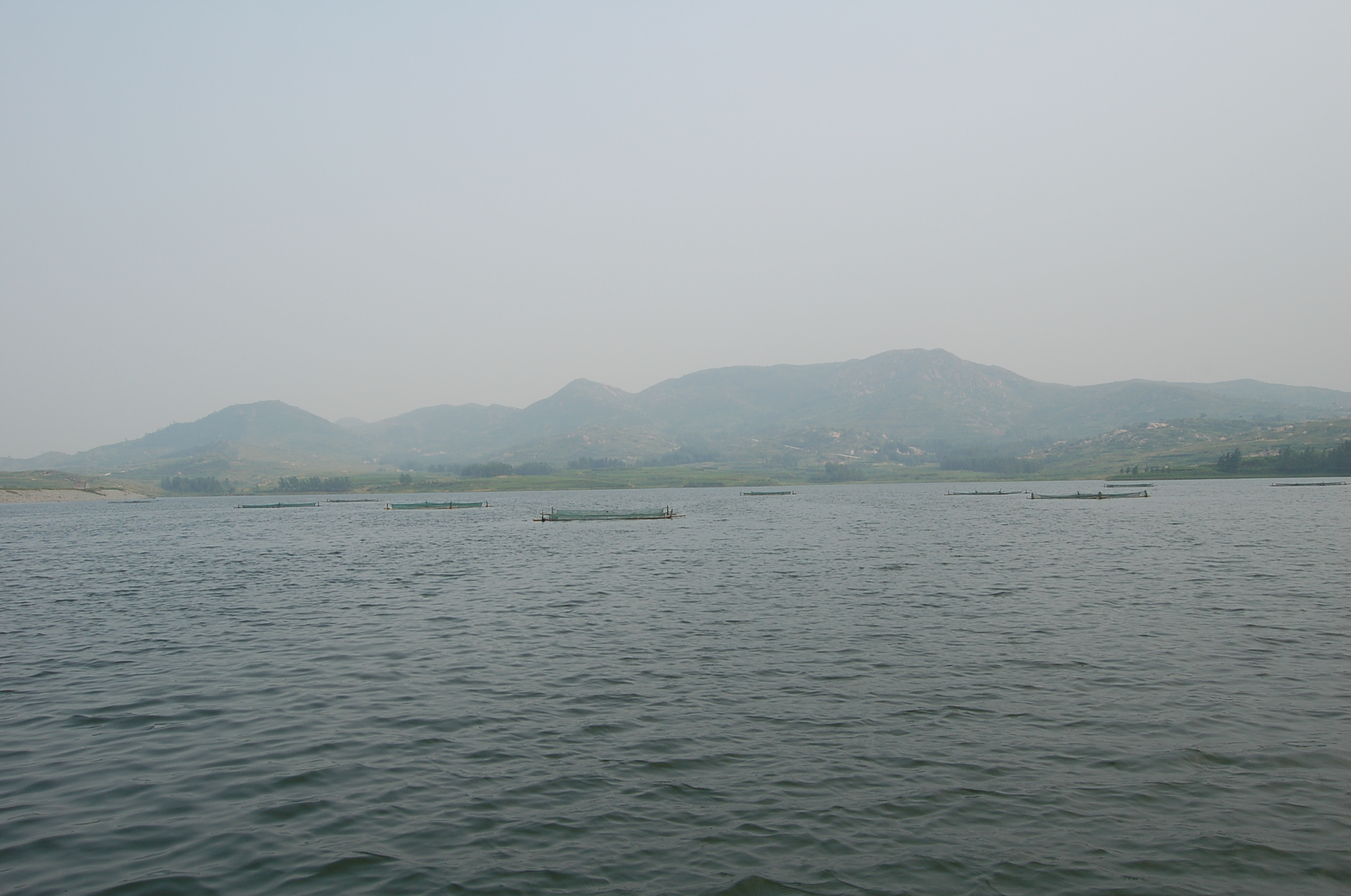 网箱养殖斑点叉尾鮰实用操作技术,工厂化养殖斑点叉尾鱼的方法