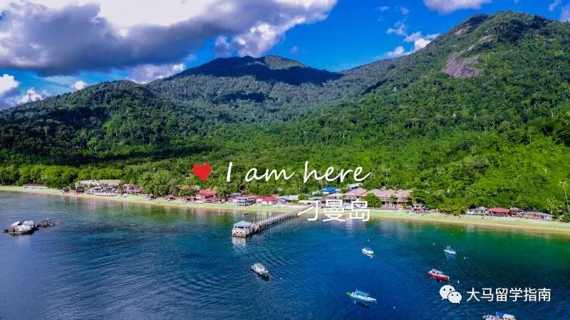 大马公立名校系列！在森林城市旁的高等学府，购物潜水超方便