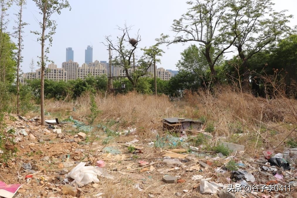 大连大型足球场,大连新足球场地在哪