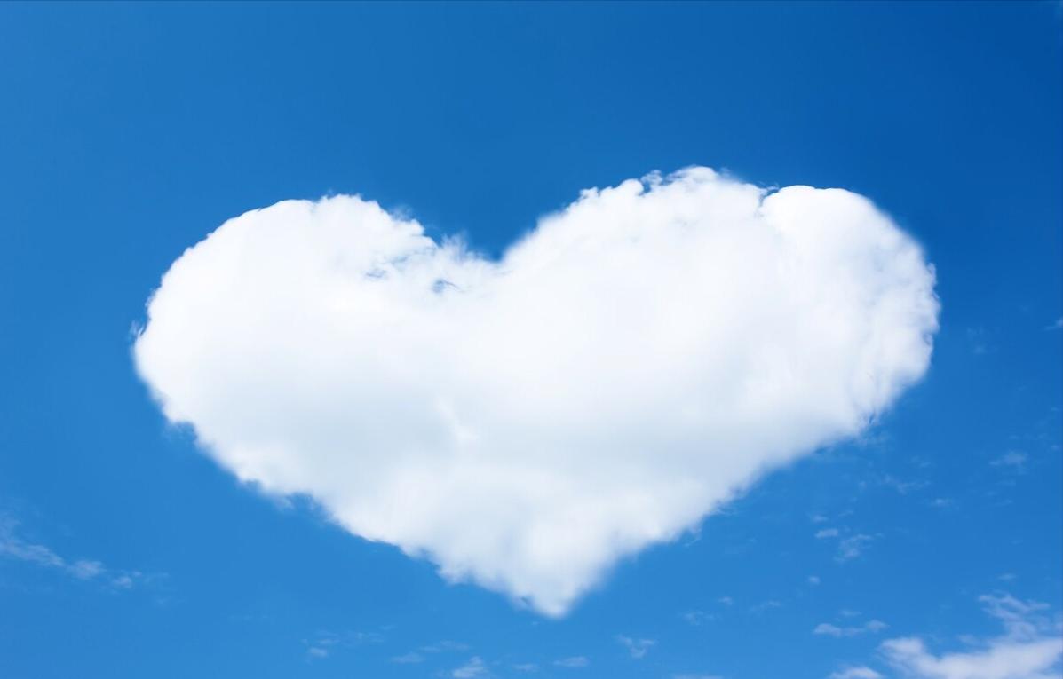 赞美插花艺术的句子,赞美艺术的句子经典语录大全