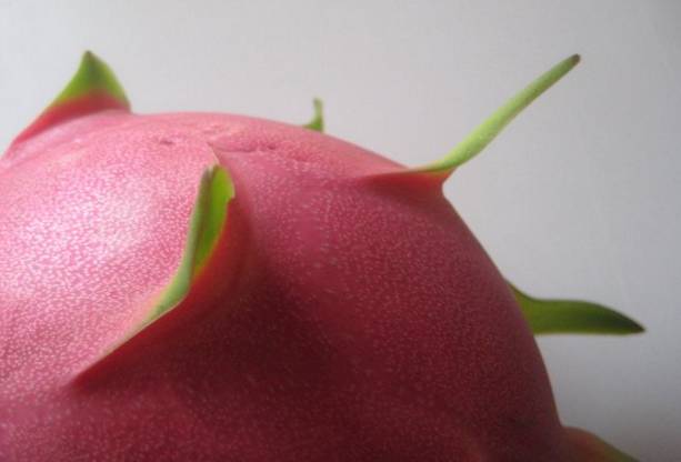 火龙果挑选方法,火龙果挑选视频