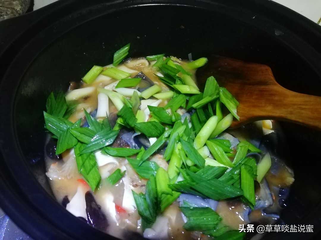 鲨鱼皮怎么做最有胶原蛋白,鲨鱼皮熬制方法详细