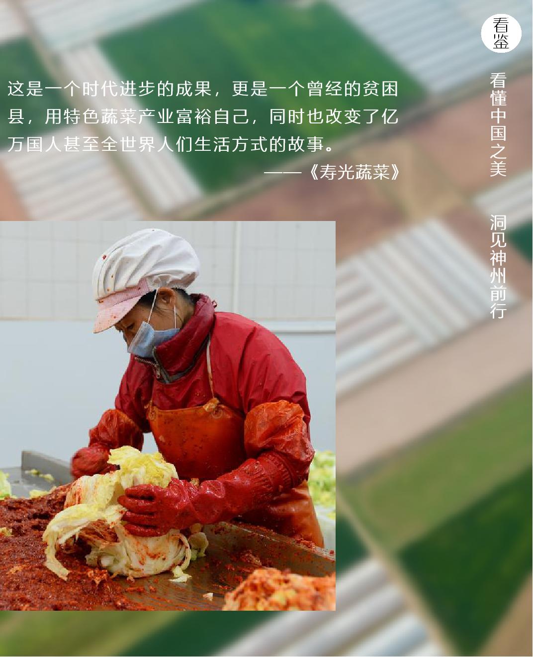 一颗白菜卖60多块钱！拯救韩国人今年的餐桌，全靠山东寿光了