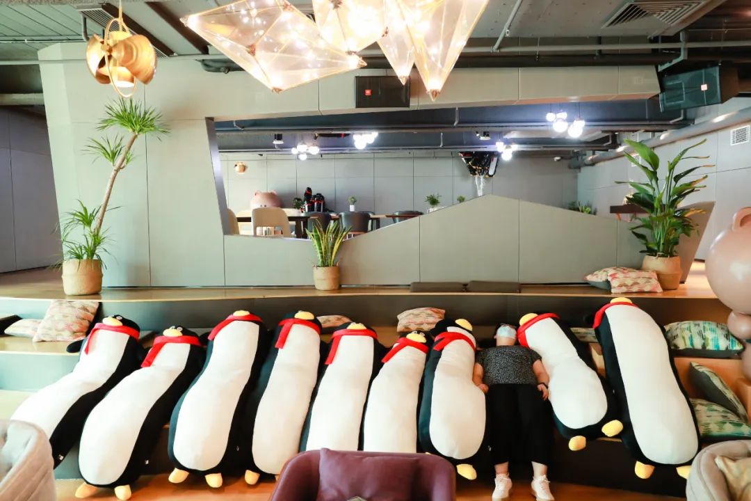 腾讯为什么使用企鹅,腾讯企鹅的成长过程