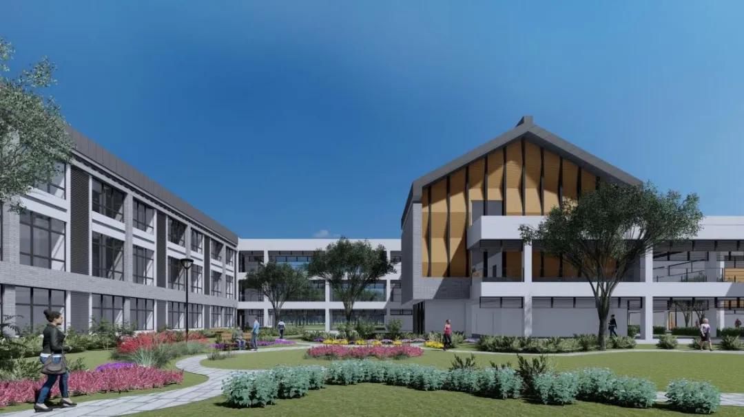 兴化水上基地,兴化水上森林项目