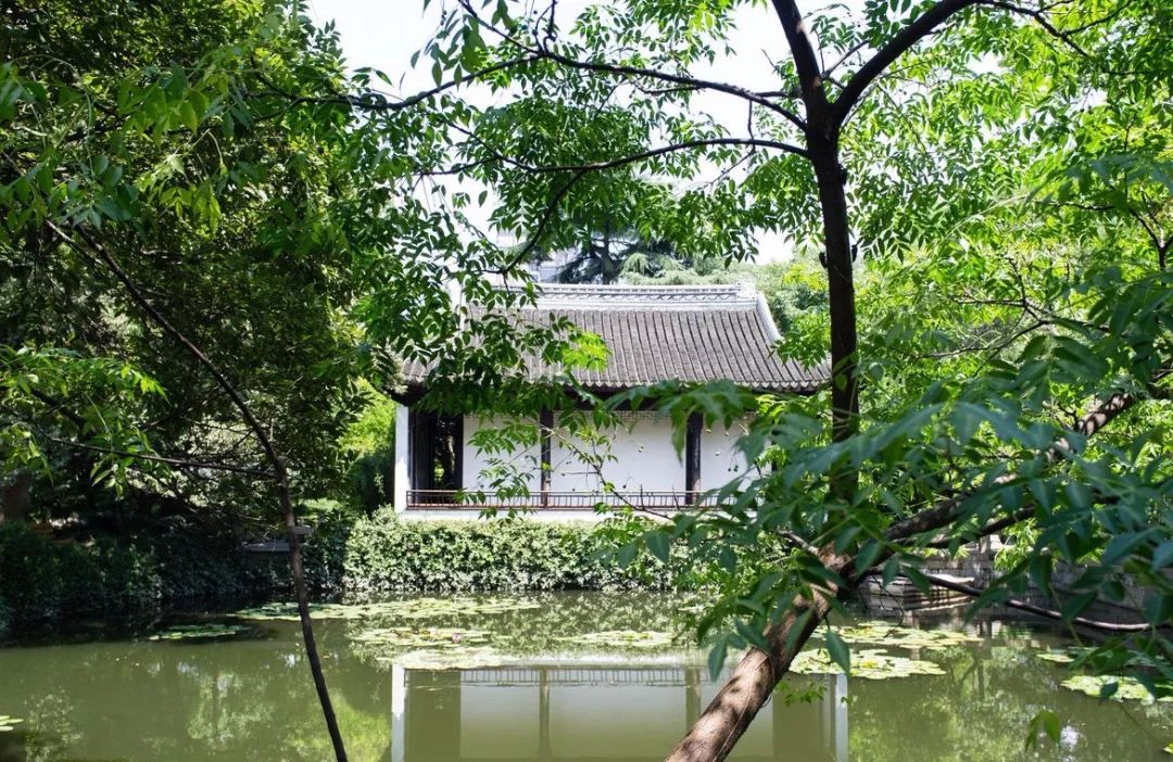 青浦曲水园最好玩的地方,青浦游玩好评排行榜