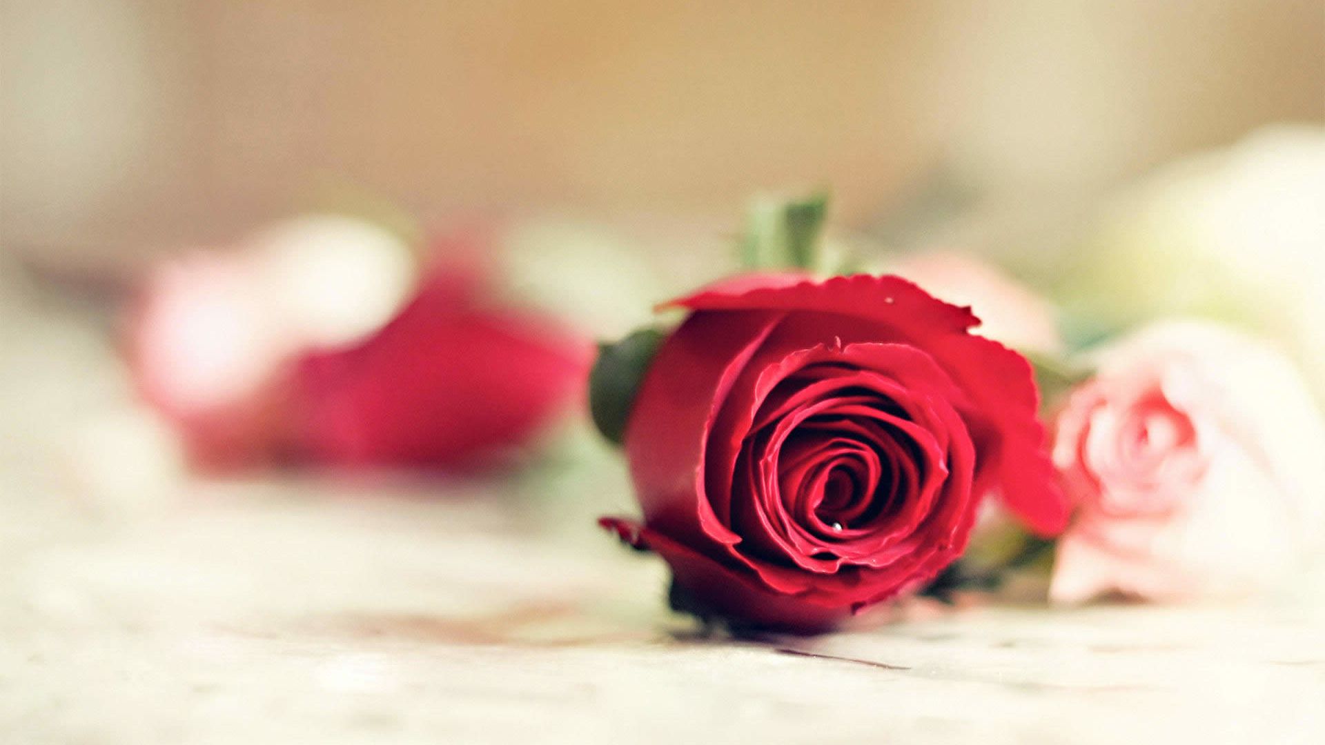 盘点直男会送十大礼物,直男送什么礼物比较暖心