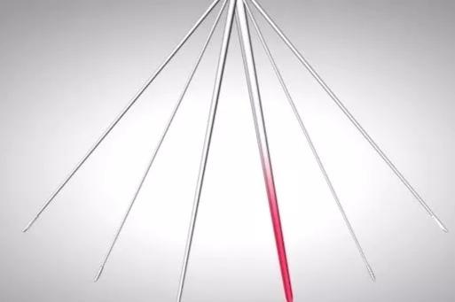 显微镜下的蚊子嘴巴,显微镜下的蚊子吸血全过程