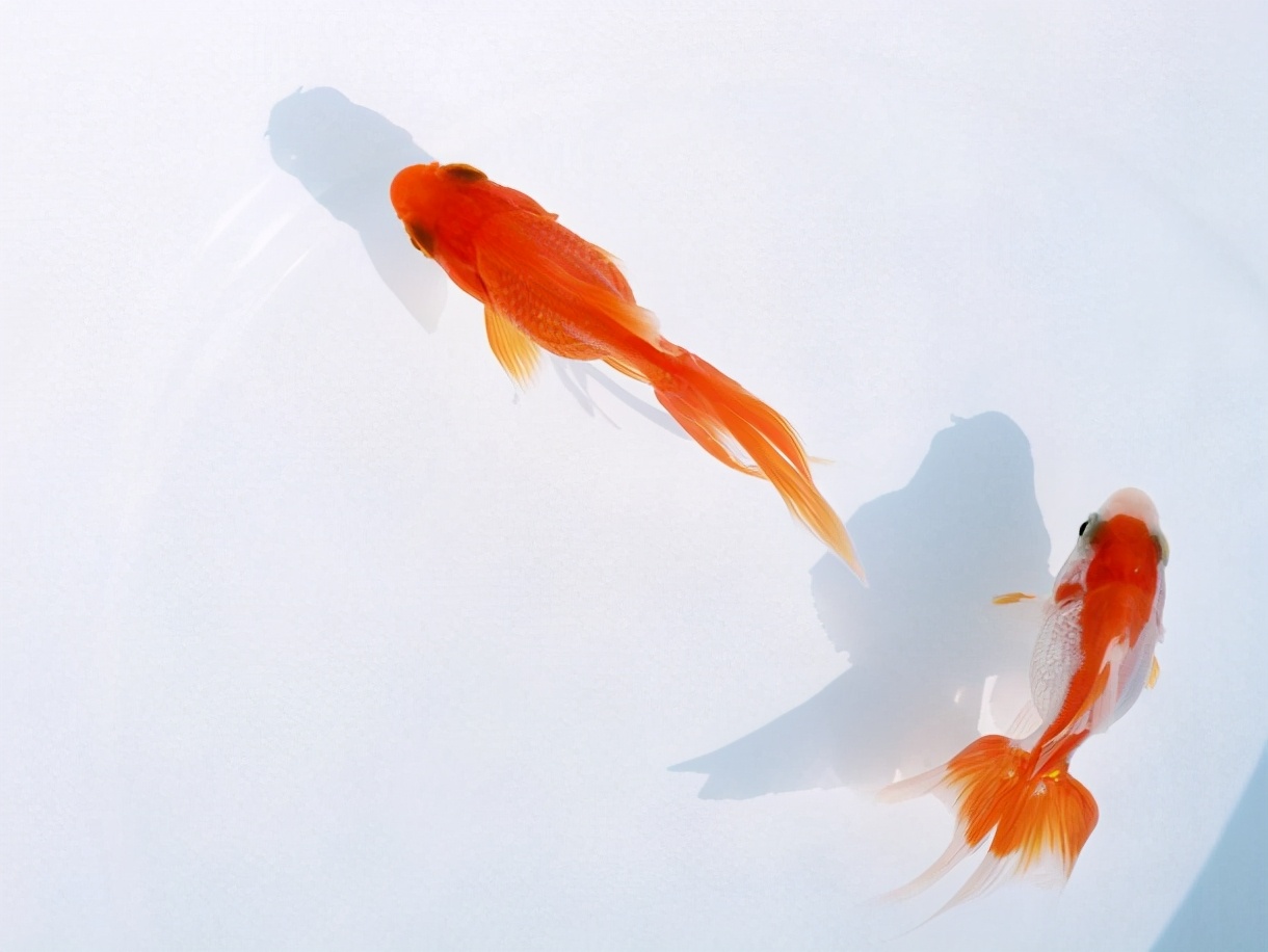 龚姓女孩起名有内涵的名字,龚姓男孩起名霸气十足名字