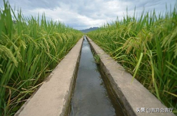 吃水不忘挖井人感恩教育内容,吃水不忘挖井人教学成功之处