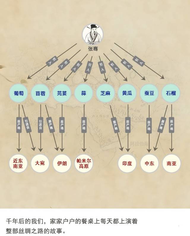 吃货张骞,张骞品尝西域的食物