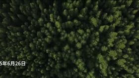 这两名犯人打碎了美国监狱180年的记录，他们是如何做到的？